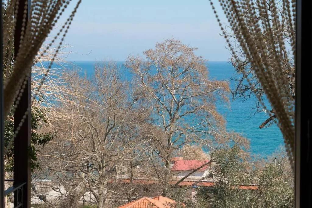 Eleni'S House Chorefto زاغورا المظهر الخارجي الصورة