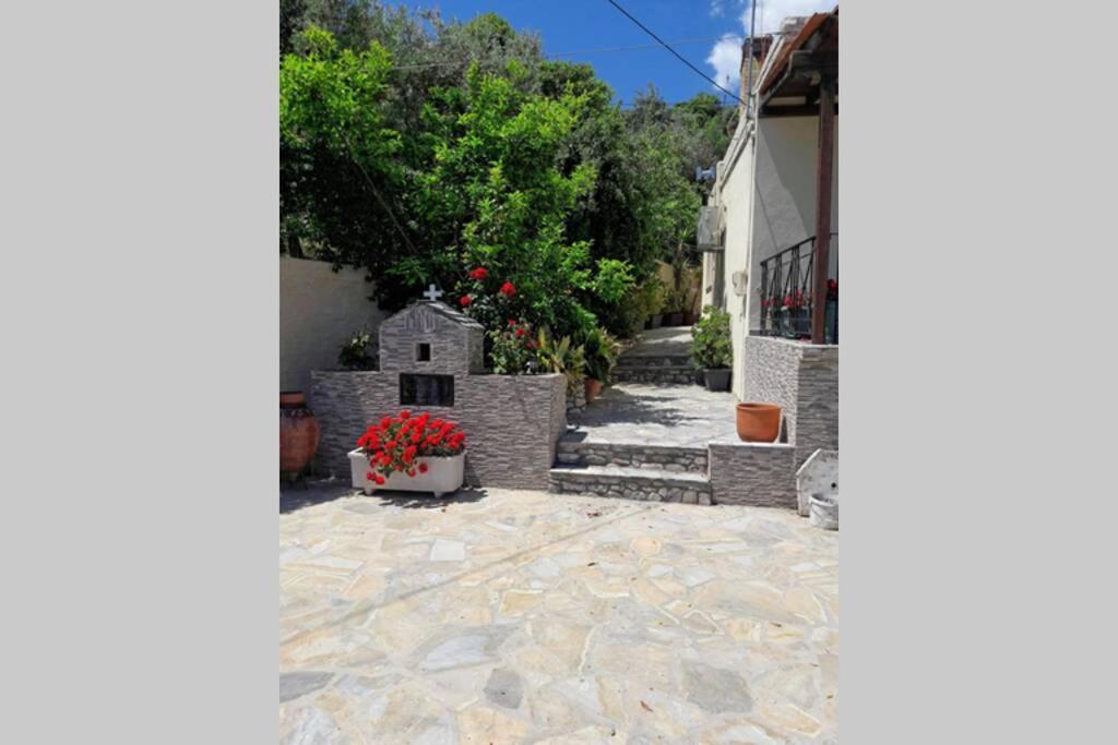 Eleni'S House Chorefto زاغورا المظهر الخارجي الصورة