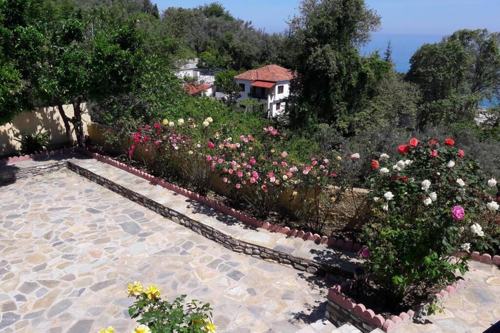 Eleni'S House Chorefto زاغورا المظهر الخارجي الصورة