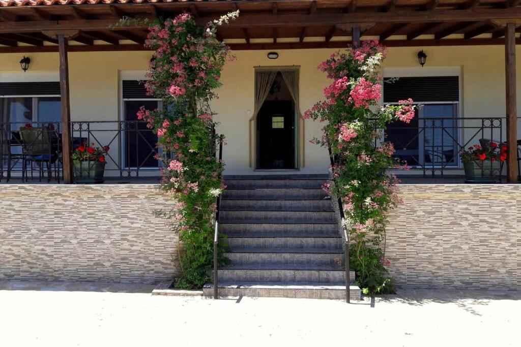 Eleni'S House Chorefto زاغورا المظهر الخارجي الصورة