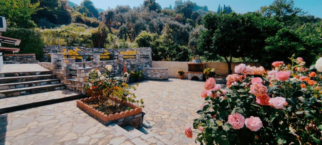 Eleni'S House Chorefto زاغورا المظهر الخارجي الصورة