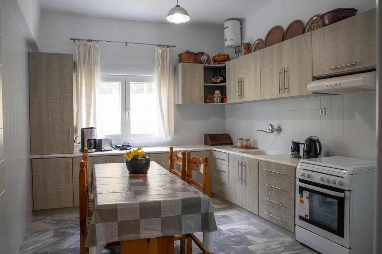 Eleni'S House Chorefto زاغورا المظهر الخارجي الصورة